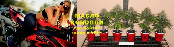индика Белокуриха