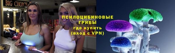 PSILOCYBIN Белоозёрский
