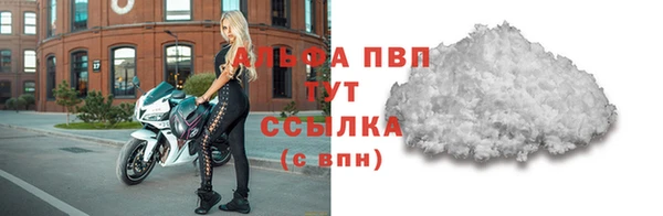 индика Белокуриха