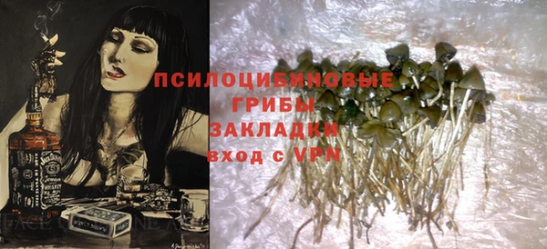 гидра Баксан