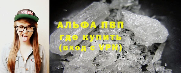 индика Белокуриха