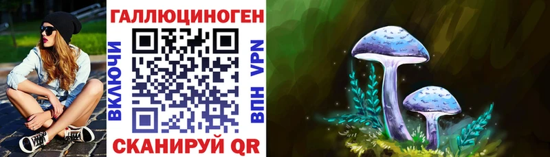 Галлюциногенные грибы MAGIC MUSHROOMS Кола