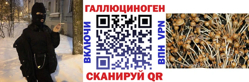 цена наркотик  Кола  Псилоцибиновые грибы ЛСД 