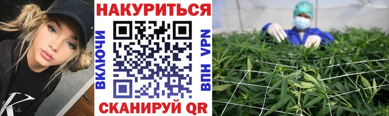 Бошки марихуана Amnesia  где найти наркотики  hydra зеркало  Кола 